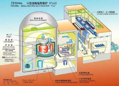 Small Fuji Reactor Installation Graphic
