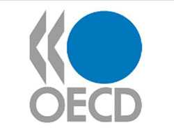OECD forecasts Turkey growth as 8.2 pc in 2010