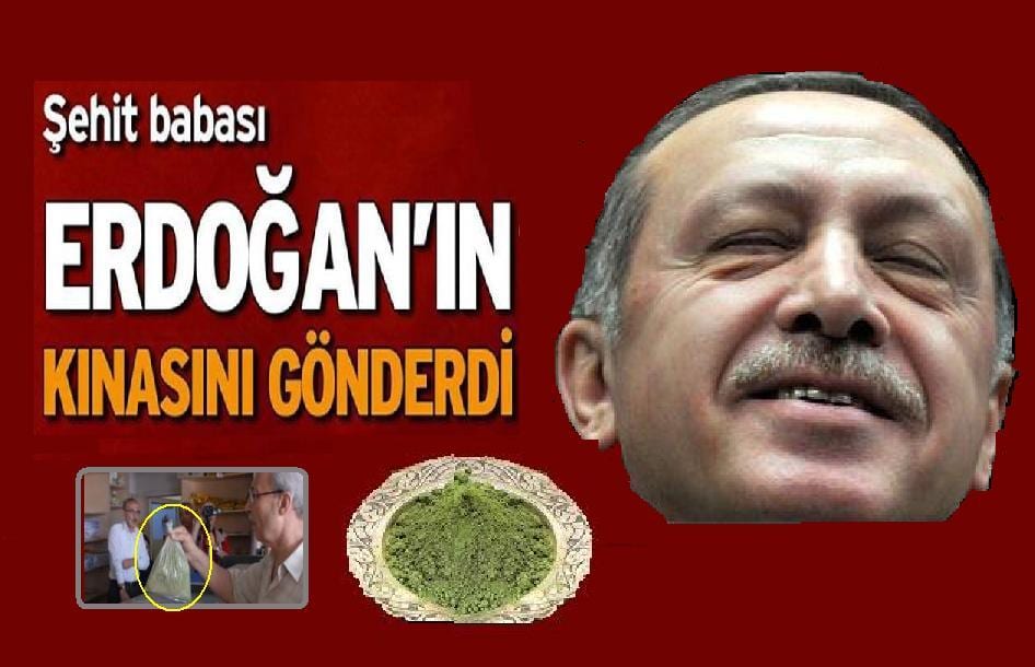 Erdogan baba