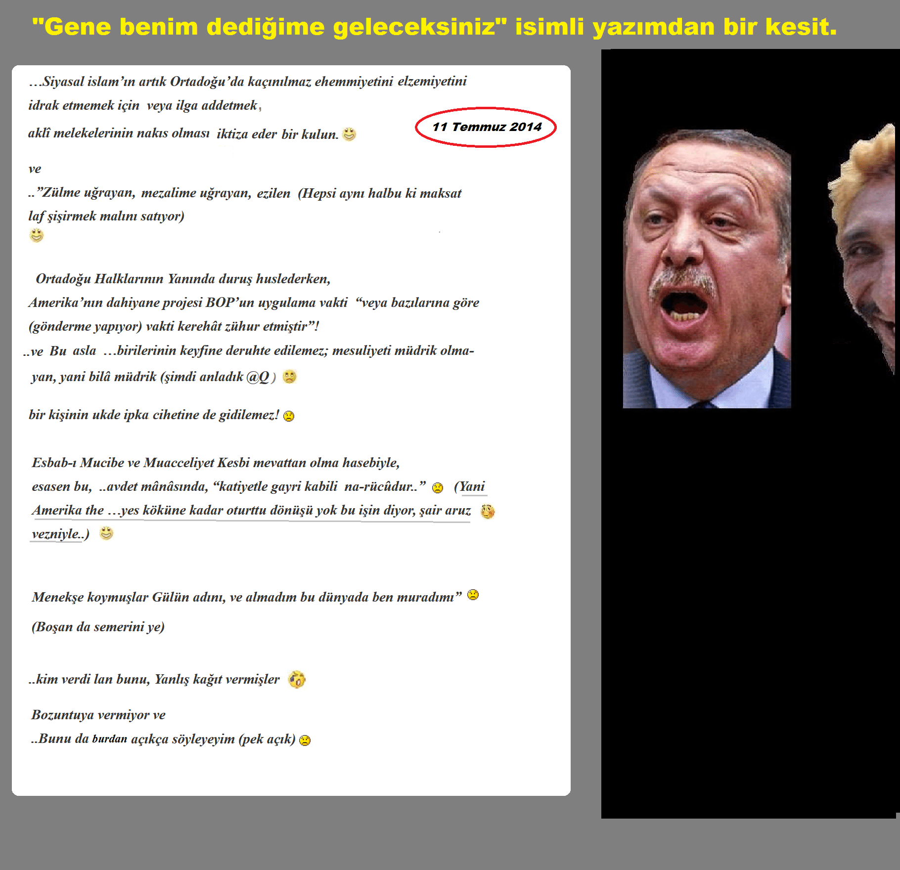 America's Dark View of Turkish Premier Erdoğan - 88A7 7