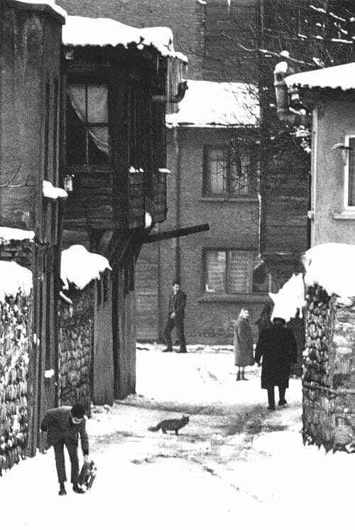 Televizyon yoktu..Gazete de her zaman olmazdı.Öyle güzel cahildik ki, keyfimiz bozulmazdı hiç!Dışarıda kar…Ama kuzine içten içe öyle yanıyor ki.Kuzinenin üzerinde demir maşa…Maşanın üzerinde de ekmek dilimleri.Aydınlık bir kış sabahı ve kızarmış ekmek kokusu…Sucuk lükstü. Yumurta lezzetli.Ekmek her zaman ekmek gibi…Bir kez olsun kümesten yumurta almamış,bir kez olsun o kızarmış ekmeğin kokusunu duymamış ve fakat alışverişmerkezlerinin restoran katlarında boğucu bir gürültü ve havasızlıkiçinde hamburger keyfine fit olmuş çocuklar ve gençler için ben ne kadar yaşlıyım…Dışarıda kar…İçeride kanaat…İçeride huzur…Televizyon yoktu.Gazete de her zaman olmazdı.Öyle güzel cahildik ki, keyfimiz bozulmazdı hiç!Portakal kabuklarını sobanın üzerine dizer,kokusuna ram olurduk.Kestane közlemek büsbütün bir gecenin akıllara seza mutluluğuydu.Sonra illâ ki, büyüklerin anlattığı hikâyeler, hatıralar…Birçoğu arızalı ve tedaviye muhtaç beyinlerden çıkmadizilerin ve filmlerin açtığı hasarlar yerine,geniş ve besleyici bir masal dünyası…Lezzet bir tarafa, kokuya da hasretkalacağımız kimin aklına gelirdi?Ekmeklerimiz el değerek üretilirdi,sağlıklıydı, lezzetliydi ve mis gibi kokardı.Çay da kokardı,Domates de…Bütün bu nefasete, küçücük bir bakkal dükkânının zenginliği yetiyordu.Dışarıda kar…İçeride huzur……Ne güzel cahildik. - eskiturkiye tarihiev