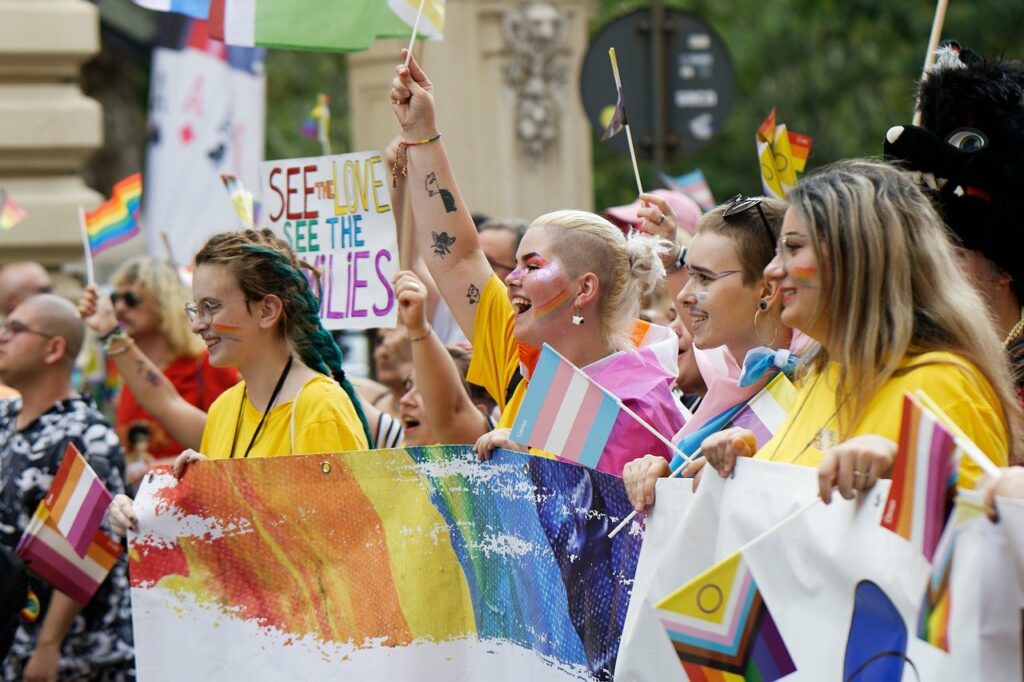·  LGBT propagandasını ve örgütlenmesini yasaklayan yasa çıkarılması’nı isteyen Cumhuriyet Kadınları Derneği( CKD)basın açıklaması fonlanan LGBT örgütlerini pek kızdırmış - lgbt derneklerinin protesto yuruyusleri