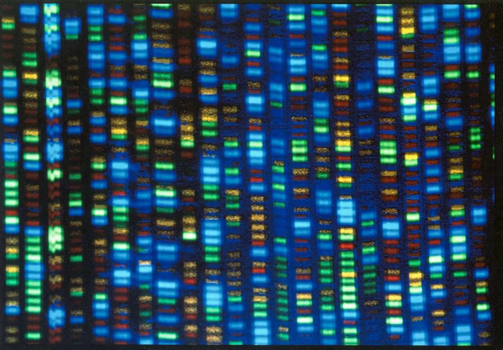 DNA dizilimi özellikle nadir görülen hastalıklar hakkında bilgi sağlamayı amaçlamaktadır. - Genler ve hastaliklar nasil iliskilidir