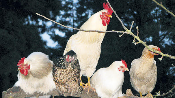 OLASI DEPREM FELAKETLERİNE KARŞI GEREKEN ÖNLEMLERİ ALMAKTA GECİKMEYELİM !!!!