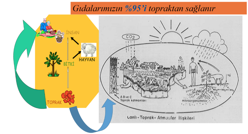 Adana’nın Gastronomik Zenginlikleri: 8. Uluslararası Lezzet Festivali’nden Notlar - gida toprak