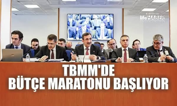 MİLLET EGEMENLİĞİNİN İLK BASAMAĞI: BÜTÇE HAKKI  VE 2025 BÜTÇESİ... - tbmm 2025 butcesi